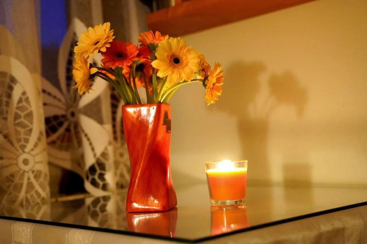 Pokoje Goscinne Majerczyk Zakopane Homestay